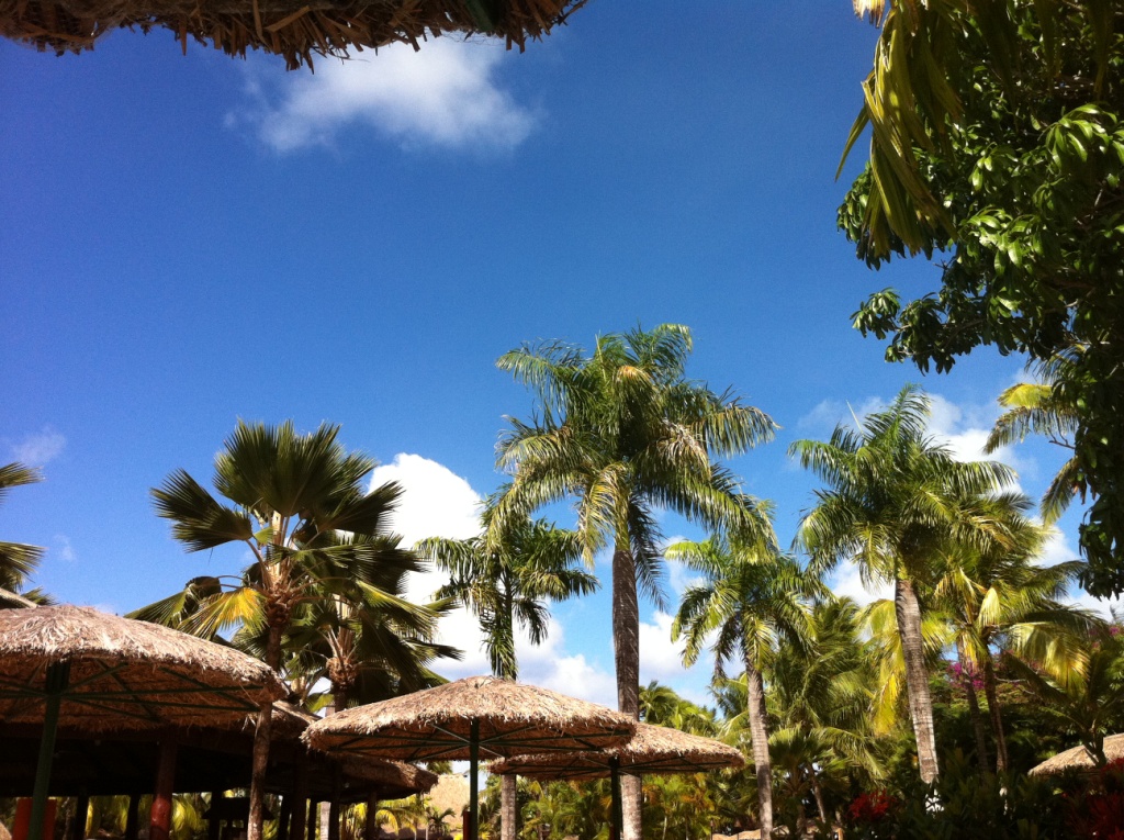 outrigger on the lagoon