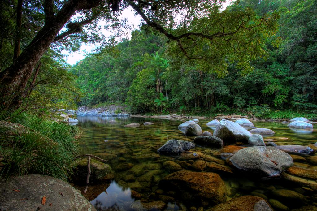 Mossman gorge