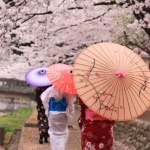 Experience Japan at home