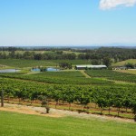 Hunter Valley with kids