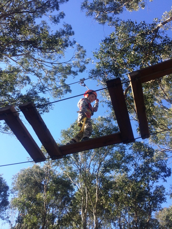 Family-friendly Sydney - Treetops