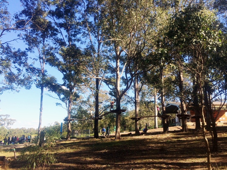 Family-friendly Sydney - Treetops