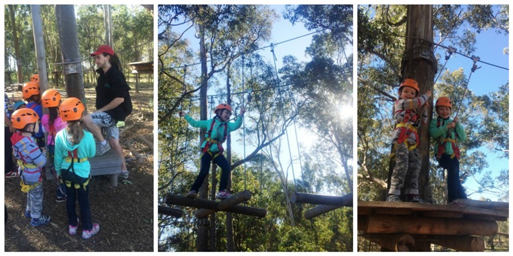 Sydney for families - Treetop Adventure Park