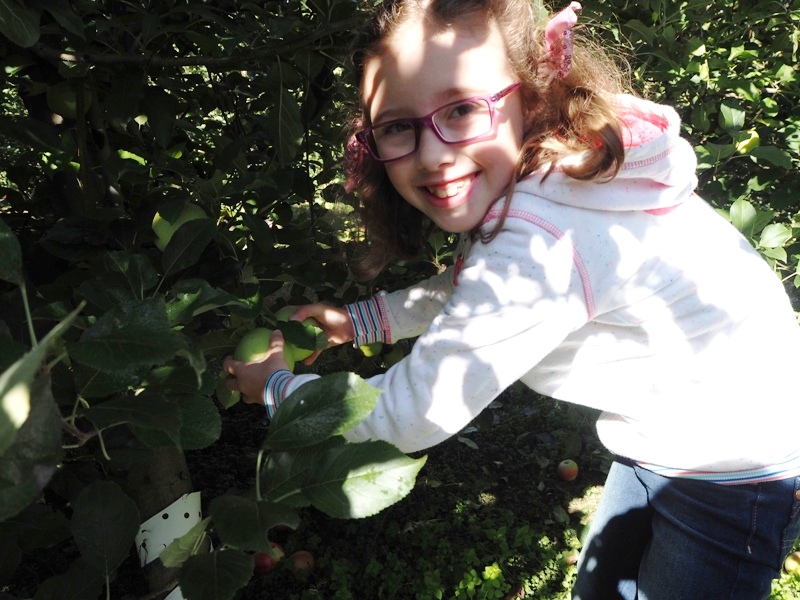 SkyTop Orchard, North Carolina