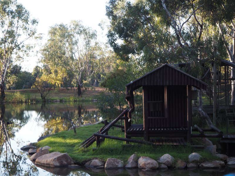 Billabong Camp review