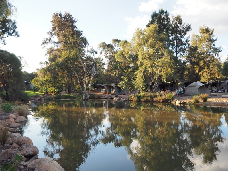Billabong Camp review