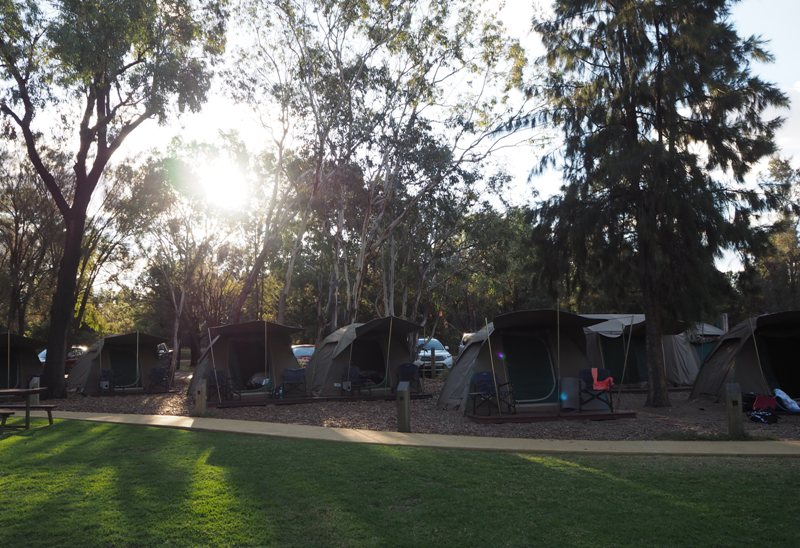 Billabong Camp review