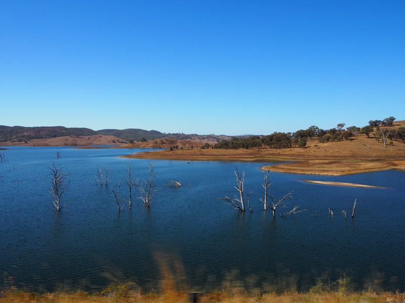 Dubbo with kids