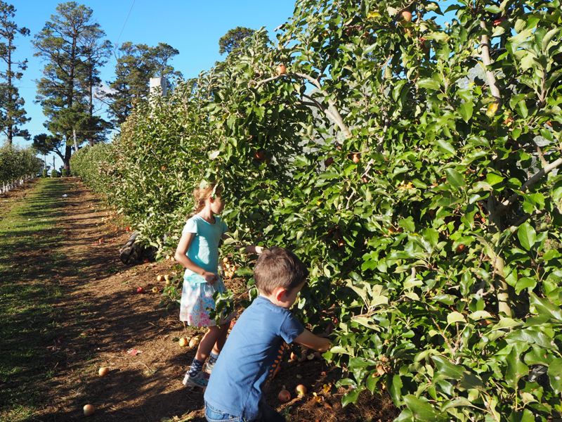 Dubbo with kids