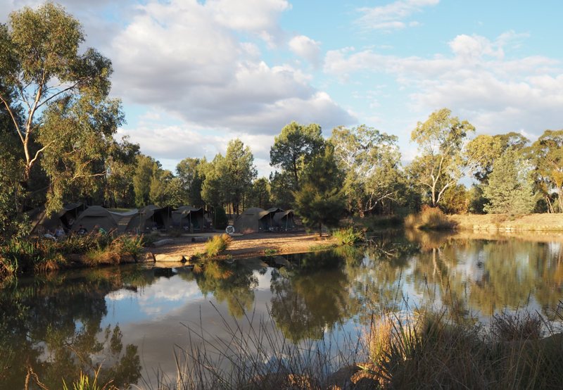 Dubbo with kids