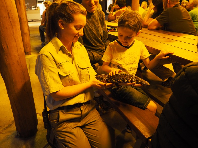 Dubbo with kids