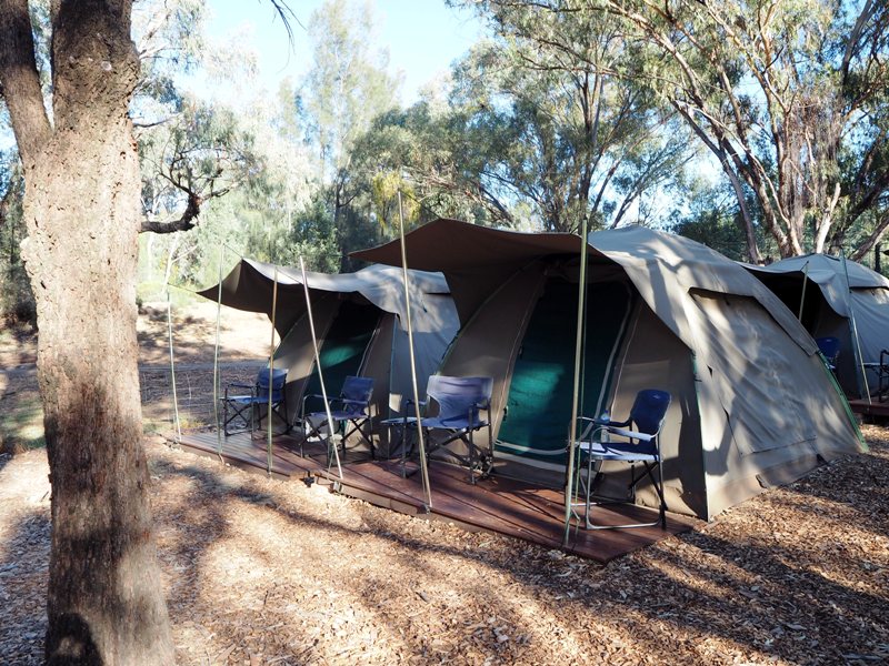 Dubbo with kids