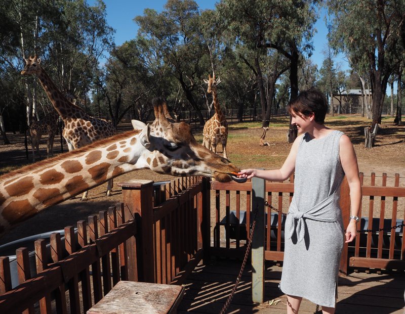 Dubbo roadtrip