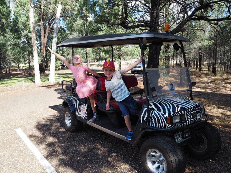 Dubbo with kids