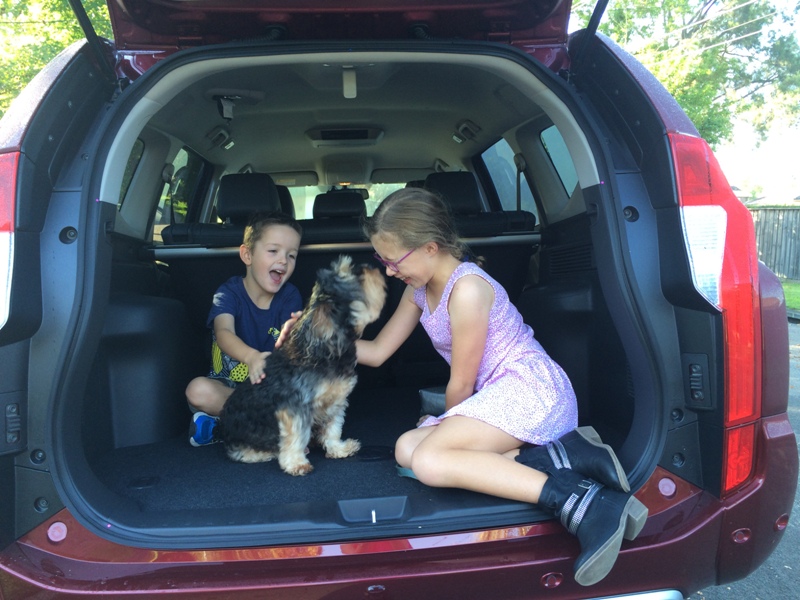 Dubbo with kids