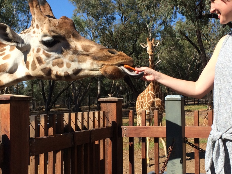 Dubbo with kids