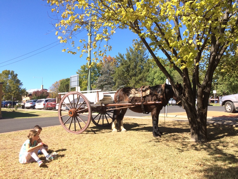 Dubbo with kids