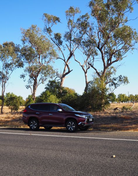 Dubbo with kids