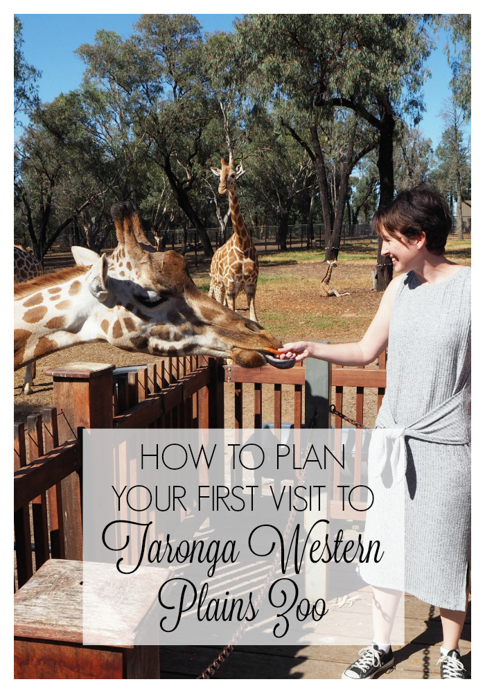 How to Plan Your First Visit to Taronga Western Plains Zoo aka Dubbo Zoo - What we learned on our recent trip to Dubbo Zoo, including how to get around, what to see, where to stay, and which optional extras to choose.