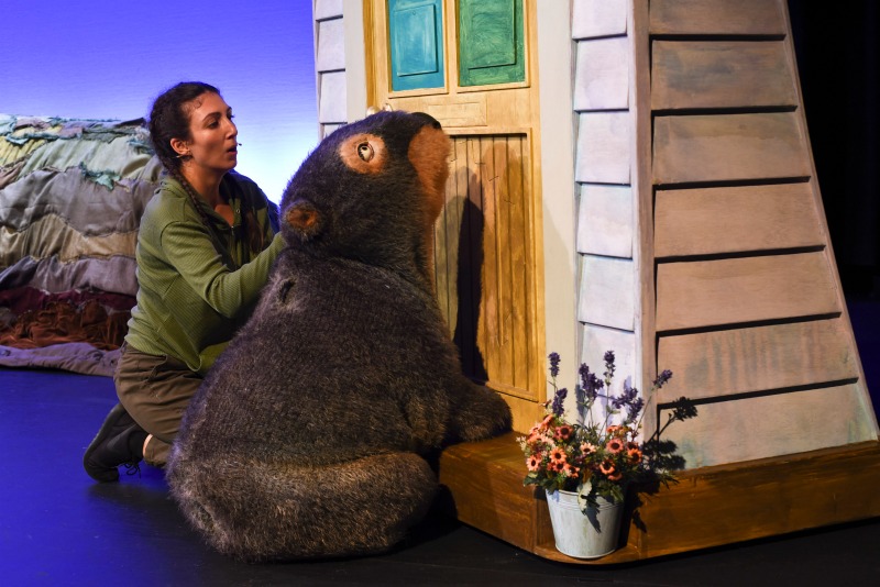 Diary of a Wombat review 