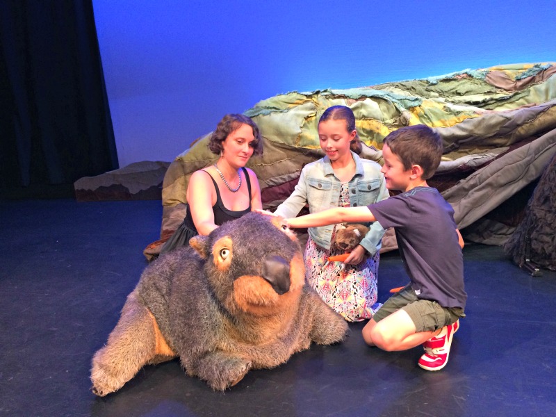 Diary of a Wombat show review 