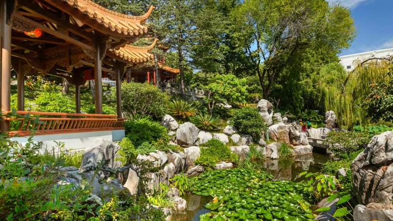 Thai-riffic at Monkey Baa Theatre Company