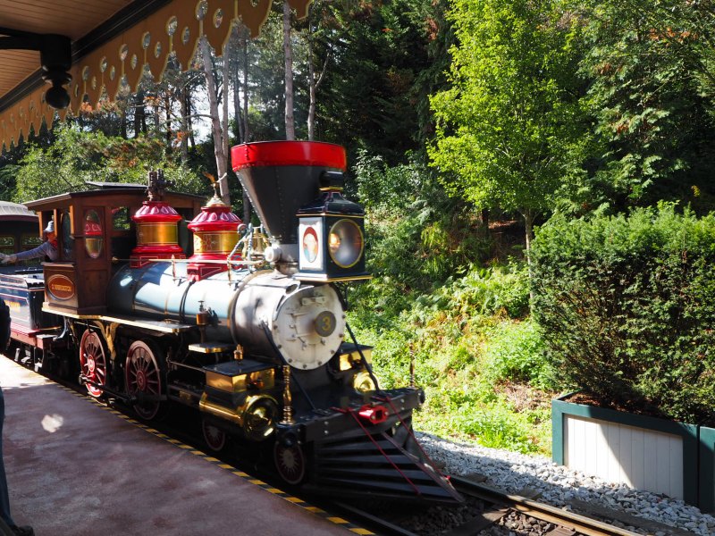 Train - Disneyland Paris day trip