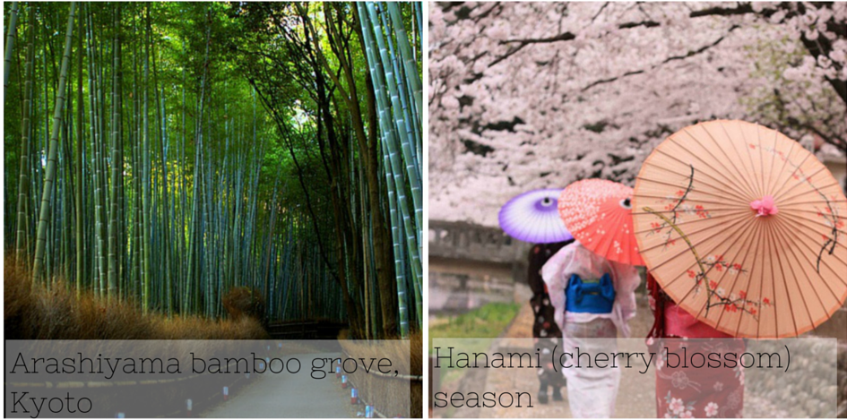 Japan natural beauty b