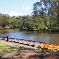 9 best bits of melbourne with kids - Studley Park Boathouse