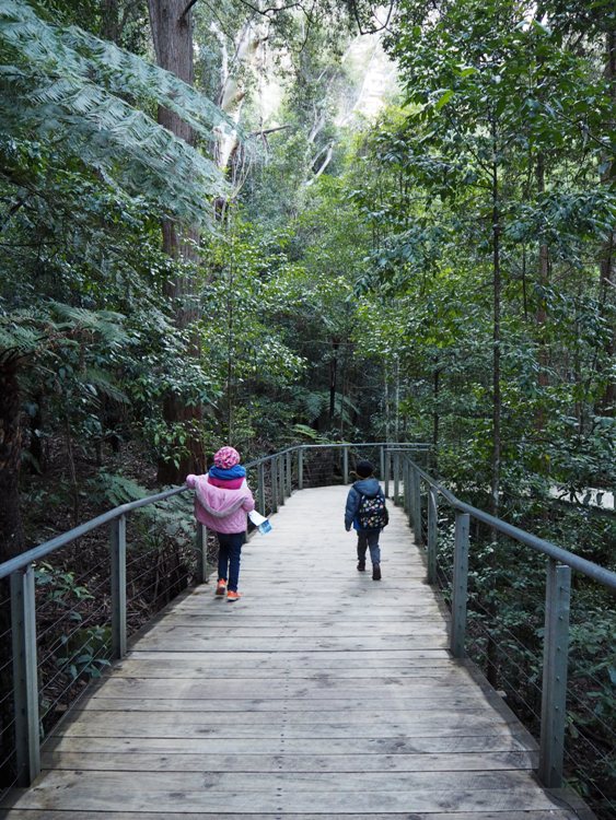 Blue Mountains Scenic World boardwalk