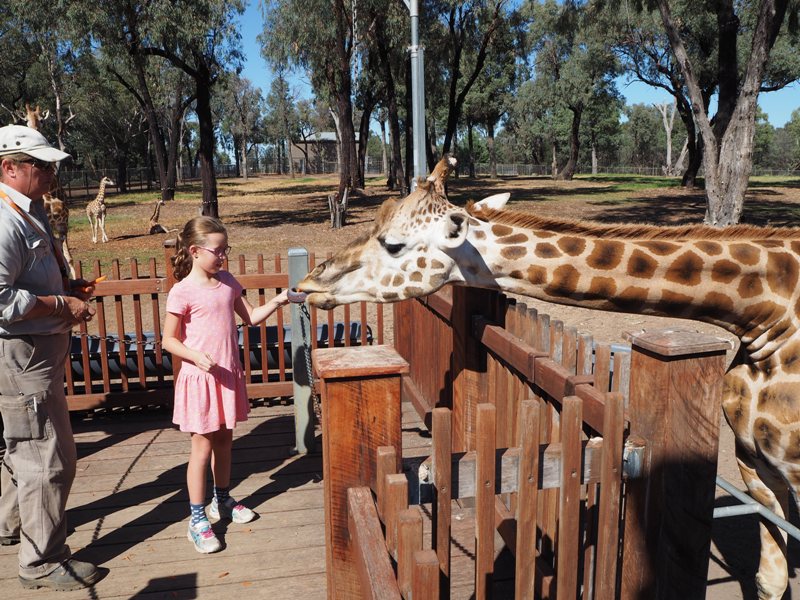 Dubbo Zoo