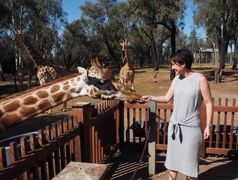 Dubbo Zoo