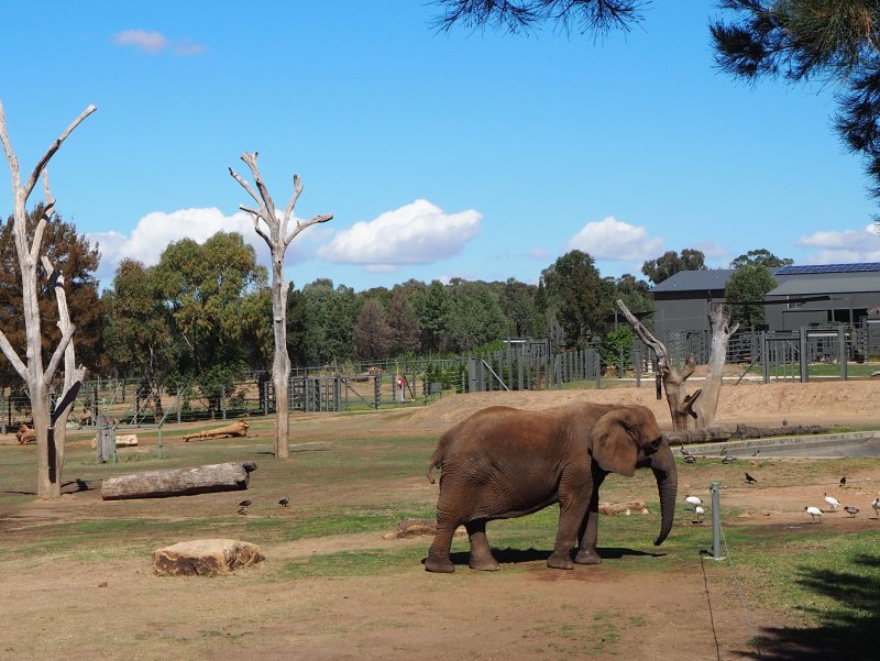 Dubbo Zoo