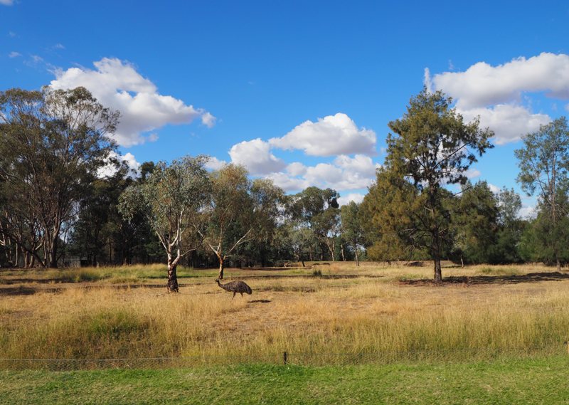 Dubbo Zoo