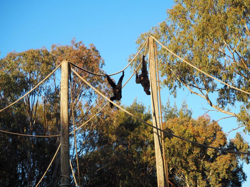 Dubbo Zoo