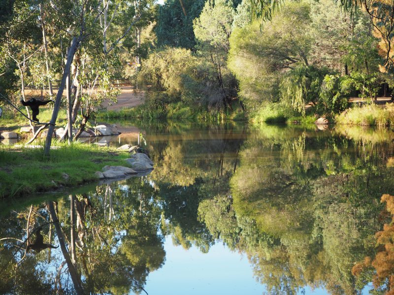 Dubbo Zoo